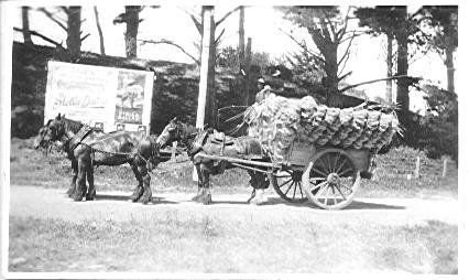 Arthur and Jack Rouse Carting Fibre