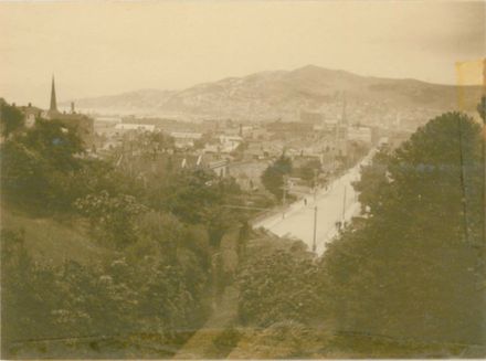 Overlook from above Vegetable Garden
