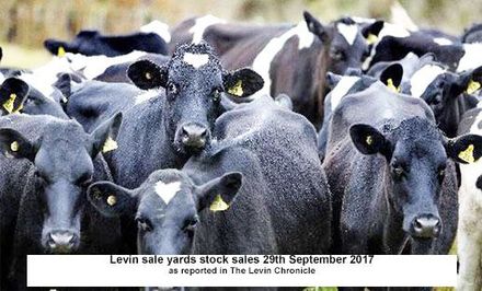 Levin stock sale report 29 Sept.2017