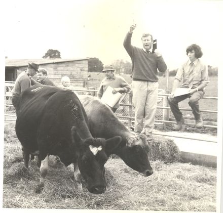Auctioning Mr Cottle's dairy stock, 1973 - Resource cover image