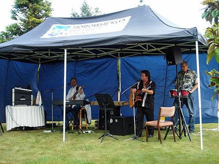 The Fabulous Kiwis Band