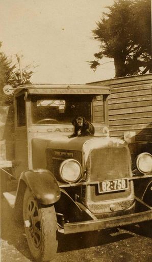 Dog on McFarlane Transport Truck