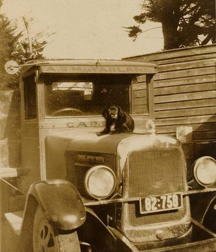 Dog on McFarlane Transport Truck