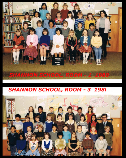Shannon School 1980 - Resource cover image