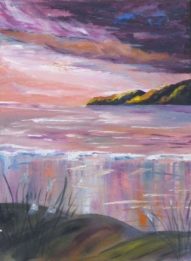 Wild Kapiti - no further details - Resource cover image