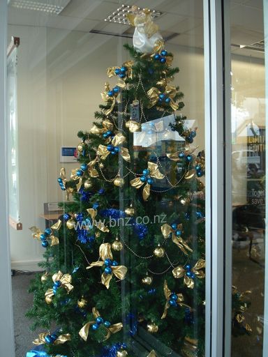 BNZ's Christmas Tree, Levin