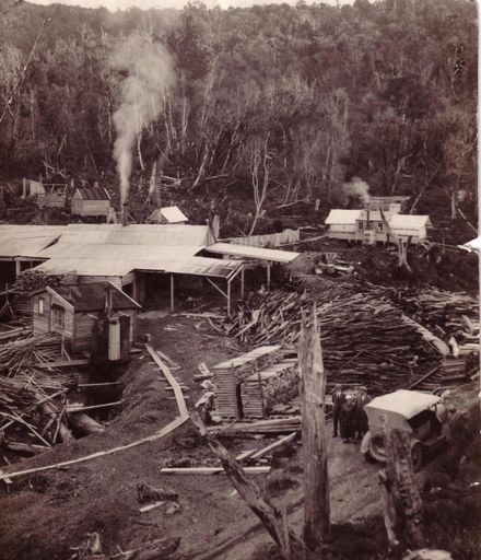 Sawmill at Arapeti, 1920's