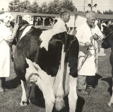 Mr Green presents 1st & 2nd place ribbons (cows, milk section) - Resource cover image