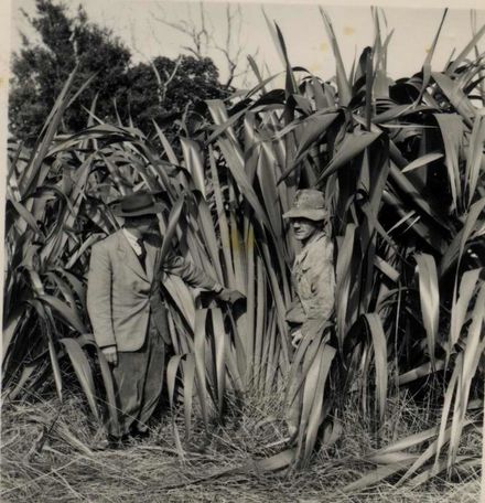 Men in Flax