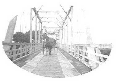 Shannon - Moutoa Bridge