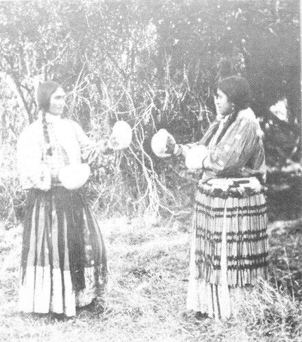 Two Unidentified Maori Women, Shannon