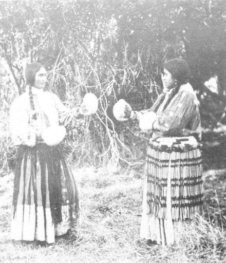 Two Unidentified Maori Women, Shannon