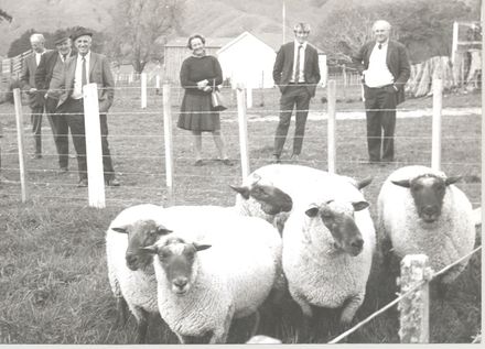 Suffolk Breeders Association meeting, 1971 - Resource cover image