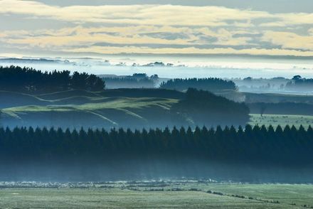 Winter Morning1 - Resource cover image