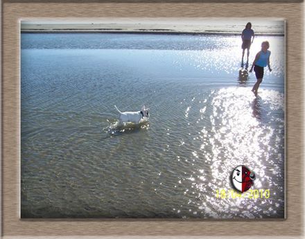 Bullies 4 Me - Resource cover image