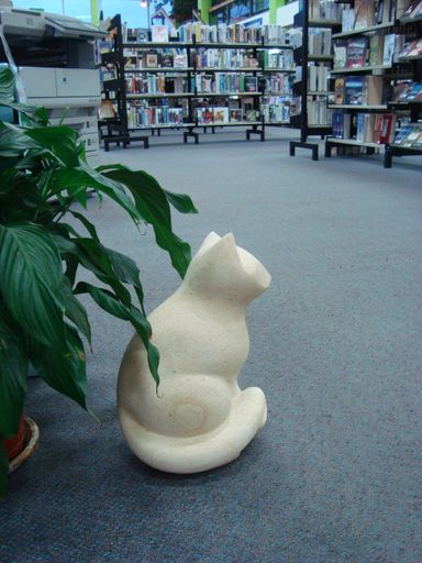 Literary Cat - Resource cover image