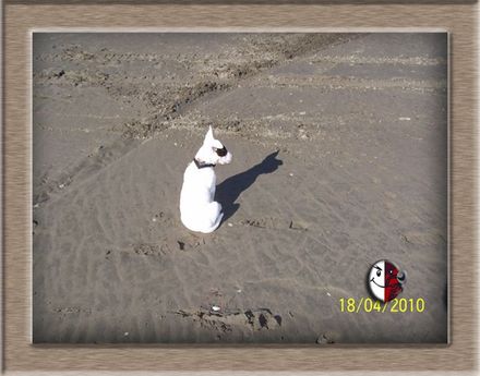 Bullies 4 Me - Resource cover image