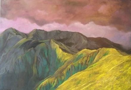 Tussock and leatherwood,Tararua tops