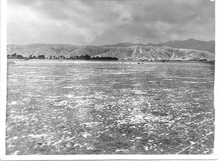 Snow on the ground viewed from Levin Saleyards