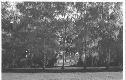 View (1 of 9) Bruce Stewart's property, Heatherlea, 1977