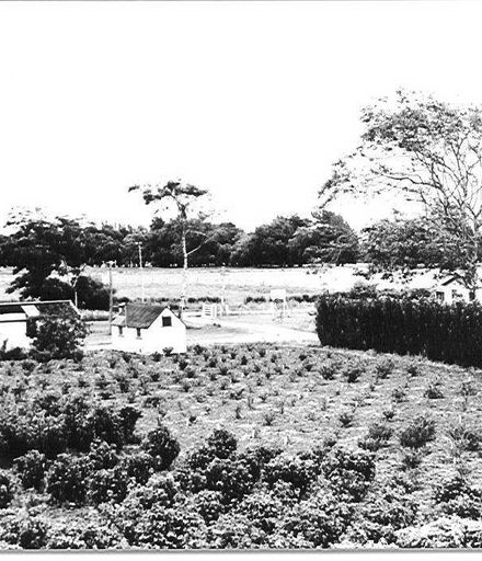 Main gate, office & store shed, 1949