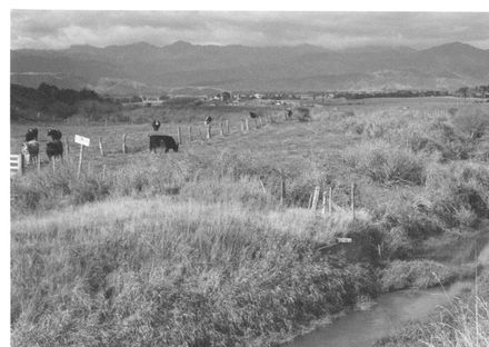 Lindsay Crawford Family by Hokio Stream, 1977