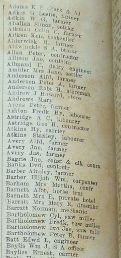 New Zealand Post Office Directory 1921 Levin ada-bay - Resource cover image