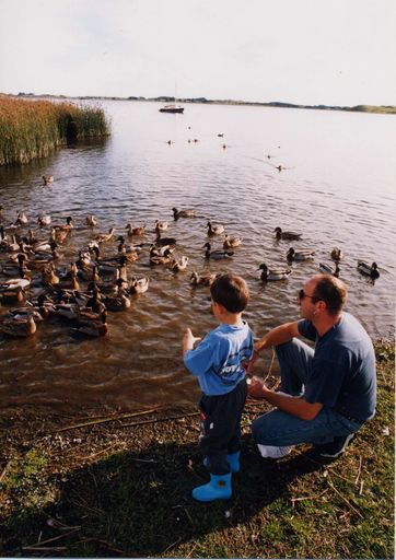Feeding Ducks at Lake Horowhenua