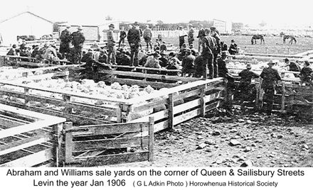 Abraham and Williams sale yards on the corner of Queen & Sailisbury Streets Levin the year Jan 1906   ( G L Adkin Photo ) Horowhenua Historical Society