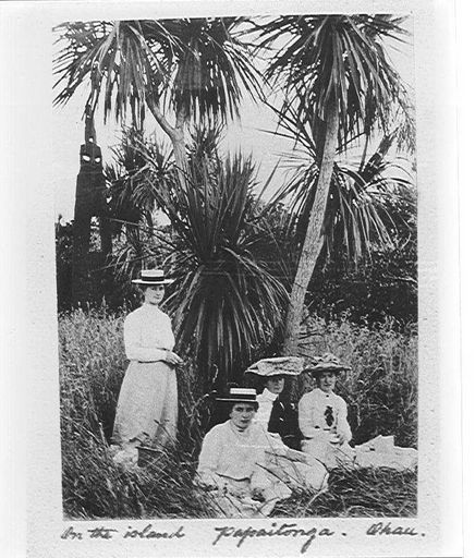 On the Island, Lake Papaitonga