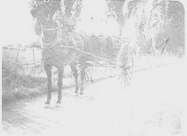 Three Unidentified Women in Horse-drawn Buggie  c.1918
