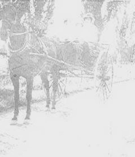 Three Unidentified Women in Horse-drawn Buggie  c.1918