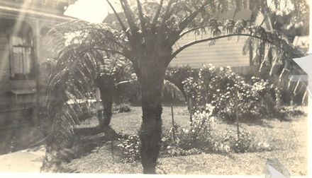 Front yard of 37 Harrison Street, Wanganui. - Resource cover image