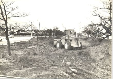 Transplanting trees, Weraroa Domain, 1971