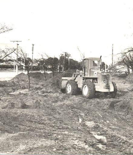 Transplanting trees, Weraroa Domain, 1971