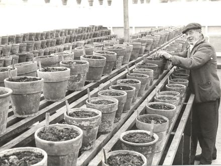 Mr Burling in L.B.C's new glasshouse, 1969 - Resource cover image