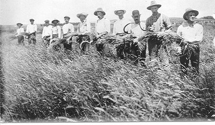 Men Cutting Fesue,Robinson's Farm,Newth Road