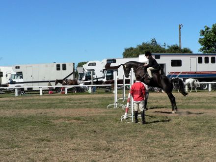 horse jumping