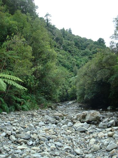 The Left hand stream feeding into Waikawa River