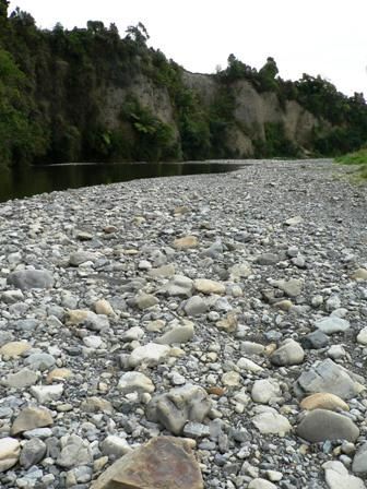 The river at Gladstone Road.