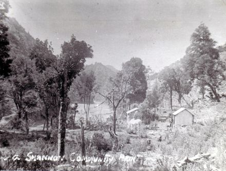 J. Cameron's bach at Kara Road, Shannon, 1894