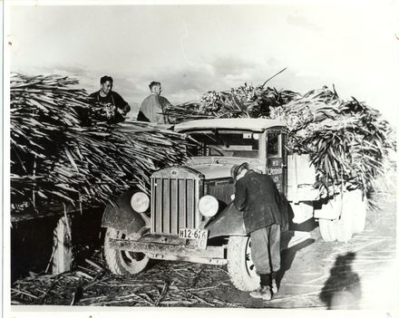 Loading fibre - Resource cover image