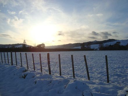 Waking up to snow on firewood - Resource cover image