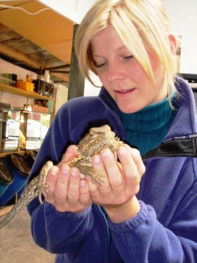 Holding a Dragon! - Resource cover image