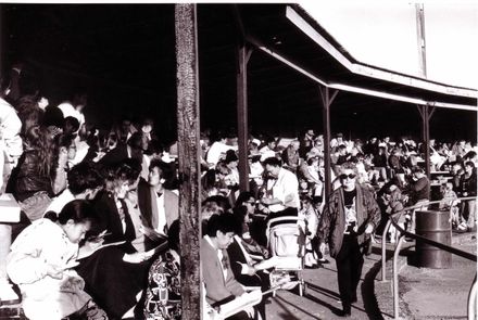 Crowd Seated at the Sound Shell, 1980's-90's