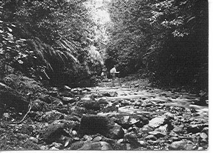 Unidentified Men by River