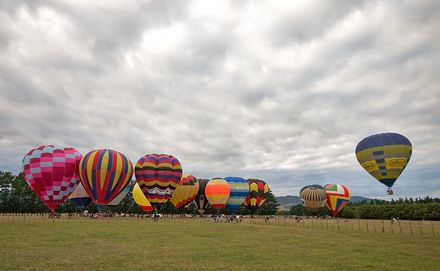 6529 - Resource cover image