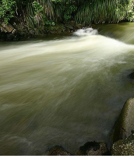 Mangahao River, Shannon - Large
