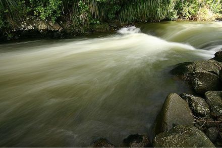Mangahao River, Shannon - Large