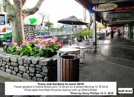 HJP 0141  Flower gardens in Oxford Street Levin 10.30 am on a wintery Morning 10-10-2018 - Resource cover image